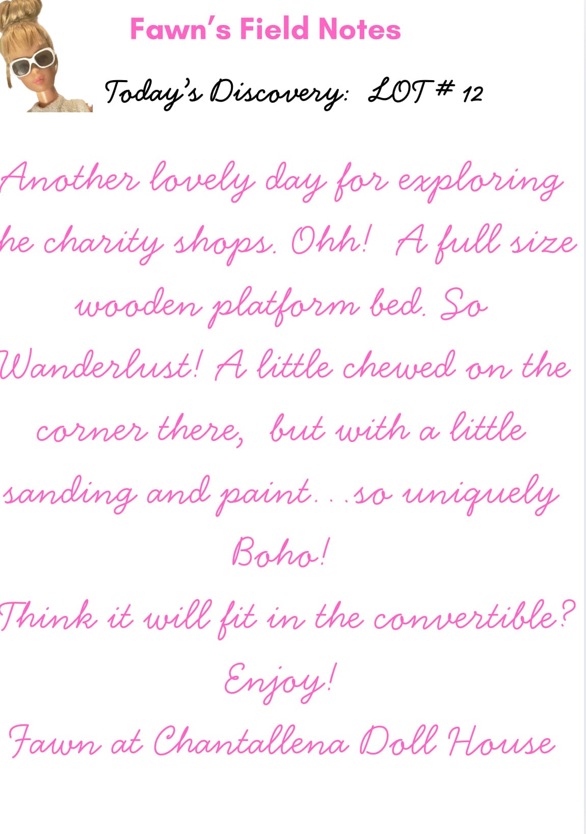 Chantallena Doll House Furniture Fawn’s Flea Market Finds | Eleven Piece Furniture and Decor- 1:12 Scale |Lot 12